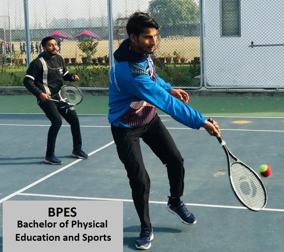 BPES (Bachelor of Physical Education and Sports)